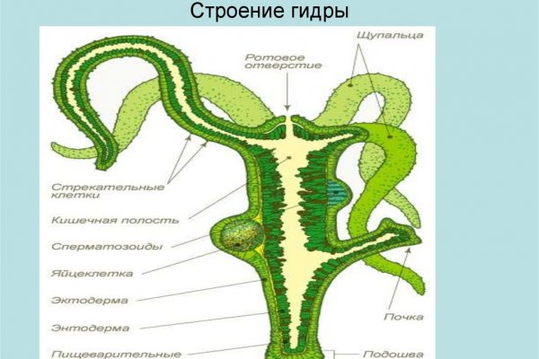 Как восстановить пароль на кракене