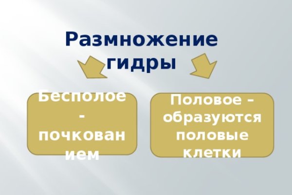 Линк кракена